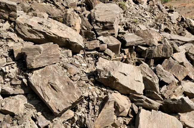 ��ĸ���a��