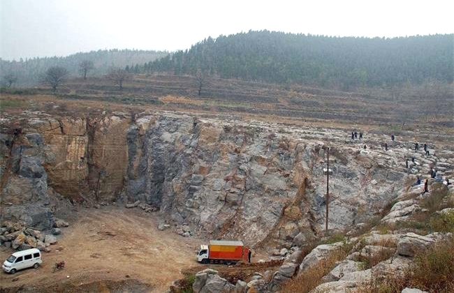 �Vɽ�_����D